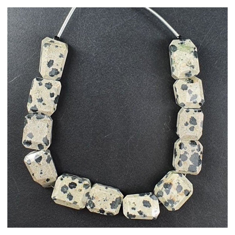 Diaspro Dalmata Naturale Sassi Sfaccettate A Mano Taglia Gemma