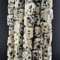 Diaspro Dalmata Naturale Sassi Sfaccettate A Mano Taglia Gemma