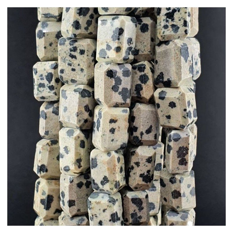 Diaspro Dalmata Naturale Sassi Sfaccettate A Mano Taglia Gemma