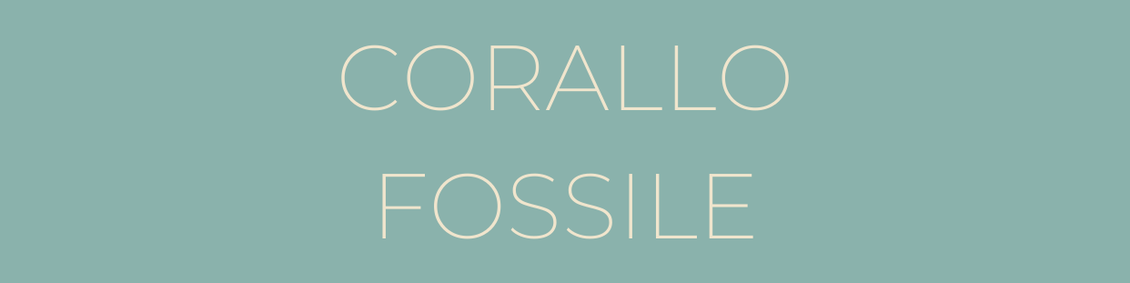 CORALLO FOSSILE