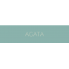 AGATA