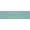 AGATA FOSSILE