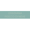 OSSIDIANA FIOCCO DI NEVE