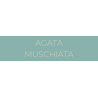 AGATA MUSCHIATA