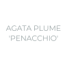 AGATA PLUME 'PENACCHIO'
