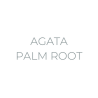 AGATA PALM ROOT