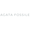 AGATA FOSSILE